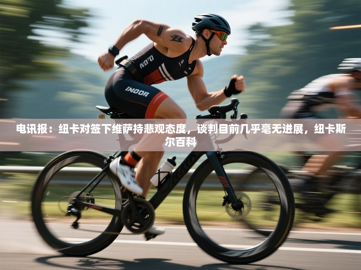 蓝鲸体育在线直播-电讯报:纽卡对签下维萨持悲观态度,谈判目前几乎毫无进展,纽卡斯尔百科 第1张