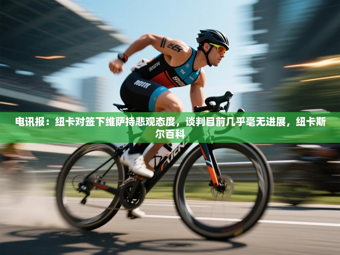 蓝鲸体育在线直播-电讯报:纽卡对签下维萨持悲观态度,谈判目前几乎毫无进展,纽卡斯尔百科 第2张