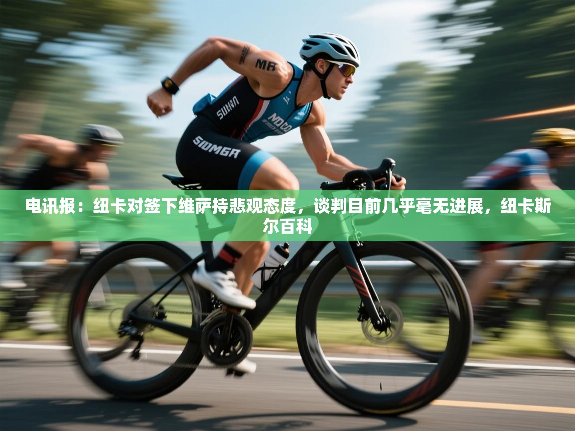 蓝鲸体育在线直播-电讯报:纽卡对签下维萨持悲观态度,谈判目前几乎毫无进展,纽卡斯尔百科 第3张